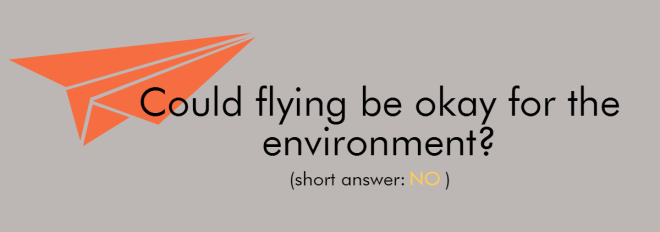 Could flying be okay for the environment